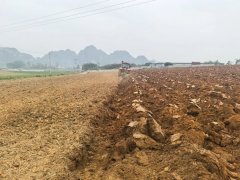 崇左市：万台农机闹春耕 智能机械化帮力